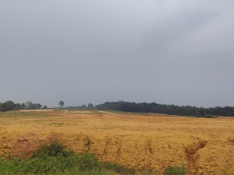Jalan Changchun, Senai (access via Jalan Cyber 5 and Saleng) — Industrial land for Sale — photo 1