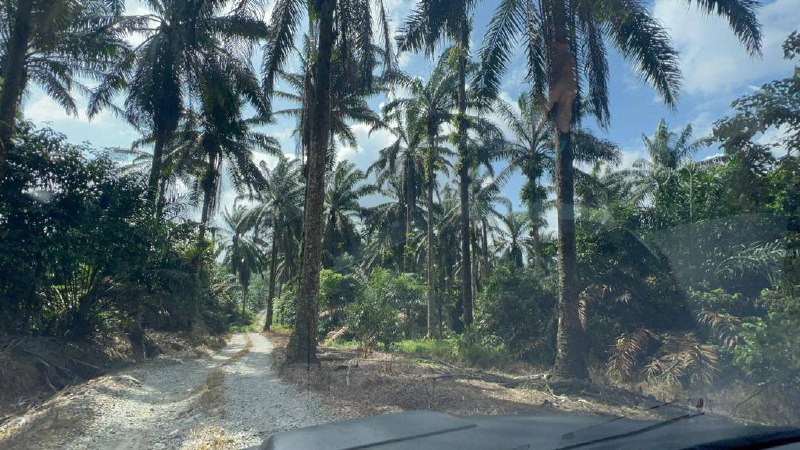 Saleng, Kulai — Agricultural land with industrial zoning for Sale — photo 3