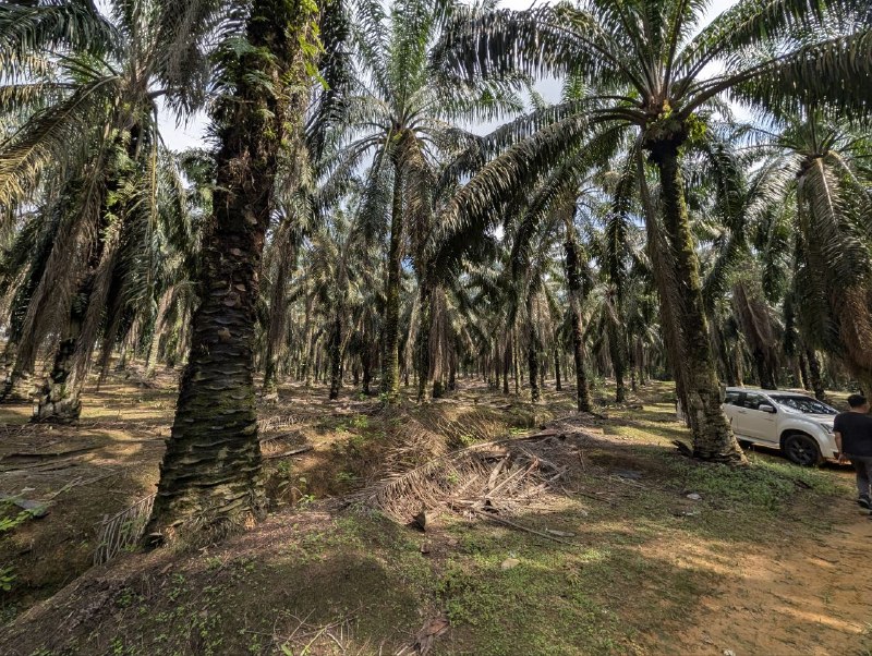 Air Bemban, Batu 29, Kulai — Industrial Land for Sale — photo 4