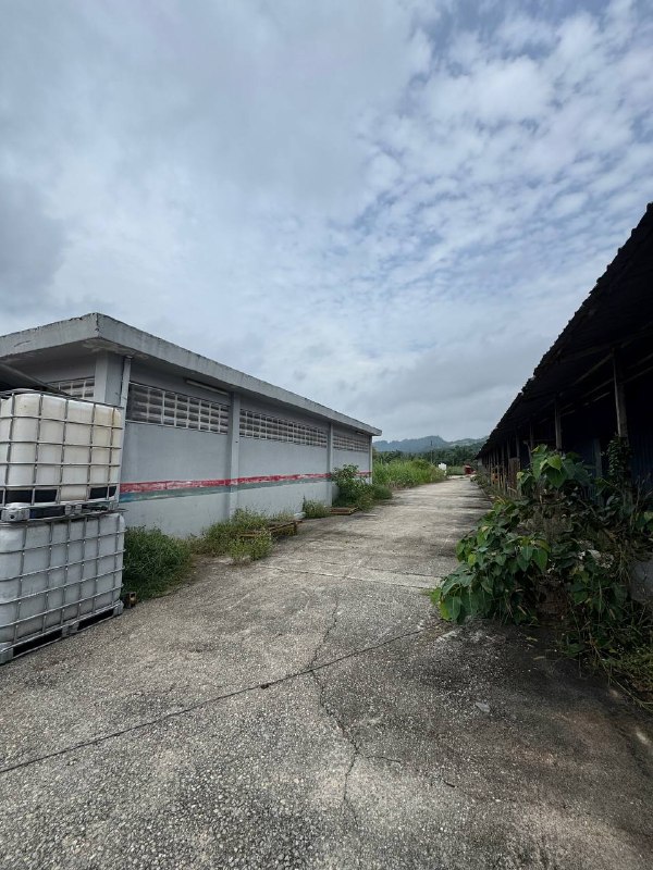 Kawasan Perindustrian Pagoh — Detached Factory for Sale — photo 4