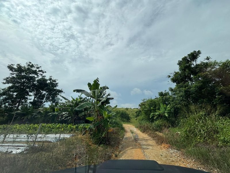Seelong — Agricultural land with industrial zoning for Sale