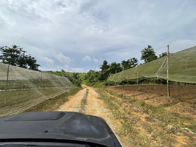 Seelong — Agricultural land with industrial zoning for Sale — photo 2