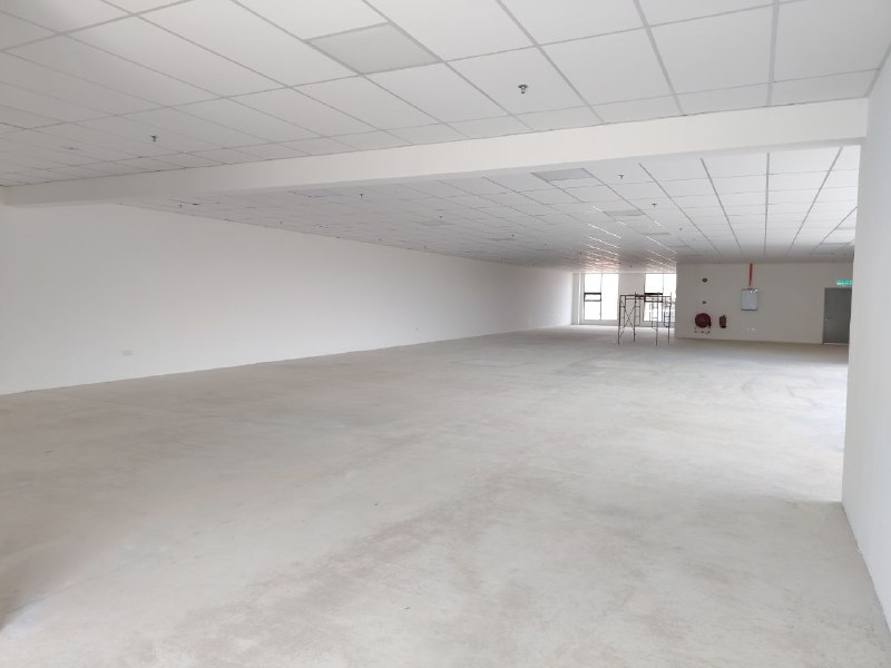 Senai Airport City — Detached Factory for Rent — photo 9