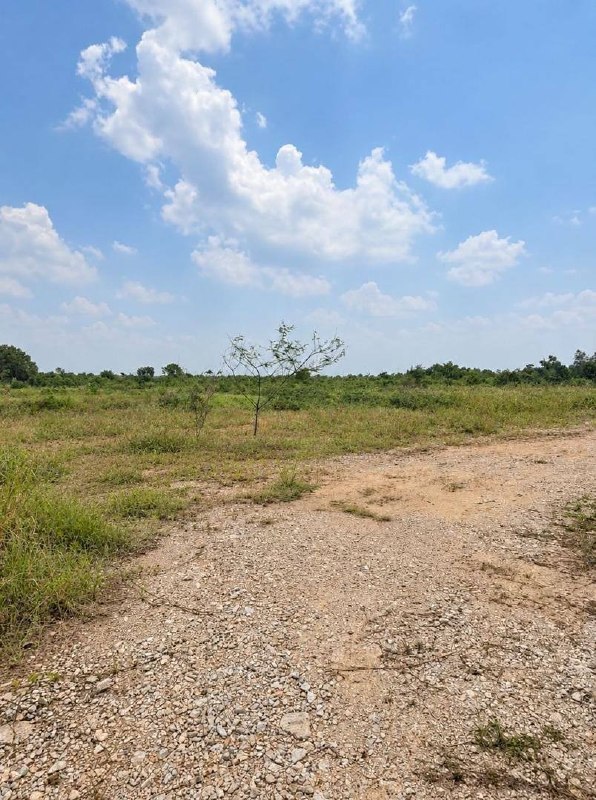 Senai Airport City — Industrial Land for Sale — photo 1