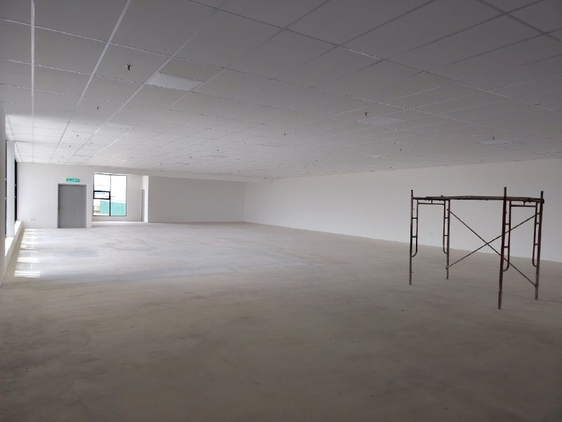 Senai Airport City — Detached Factory for Rent — photo 10