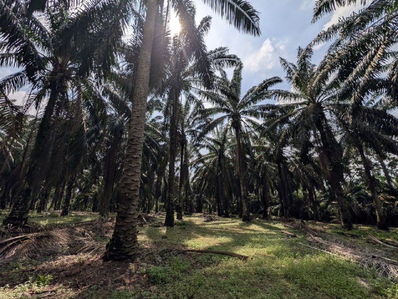 Air Bemban, Batu 29, Kulai — Industrial Land for Sale — photo 2