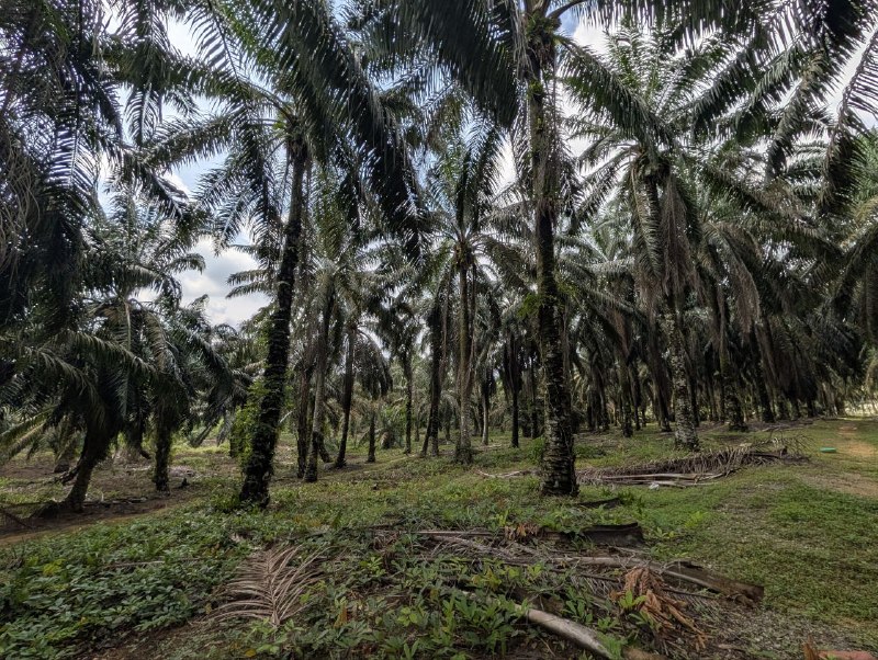 Air Bemban, Batu 29, Kulai — Industrial Land for Sale — photo 3