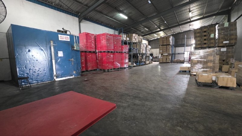 Benut — Single Storey Factory for Rent — photo 3