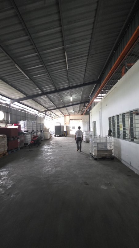 Benut — Single Storey Factory for Rent — photo 3