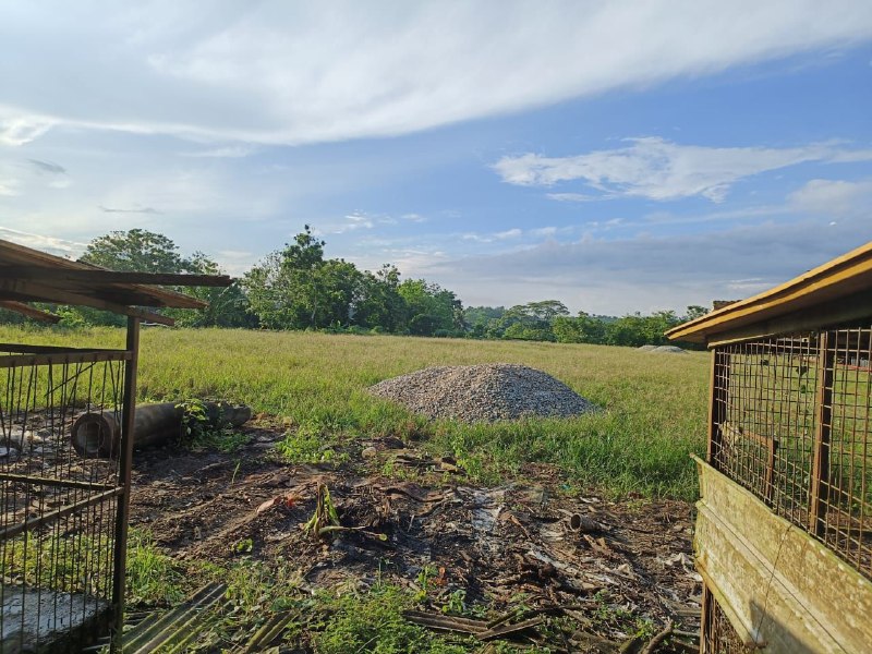 Seelong Senai Industrial Land with Open Shed Factory for Sale — 3 Acres — photo 6