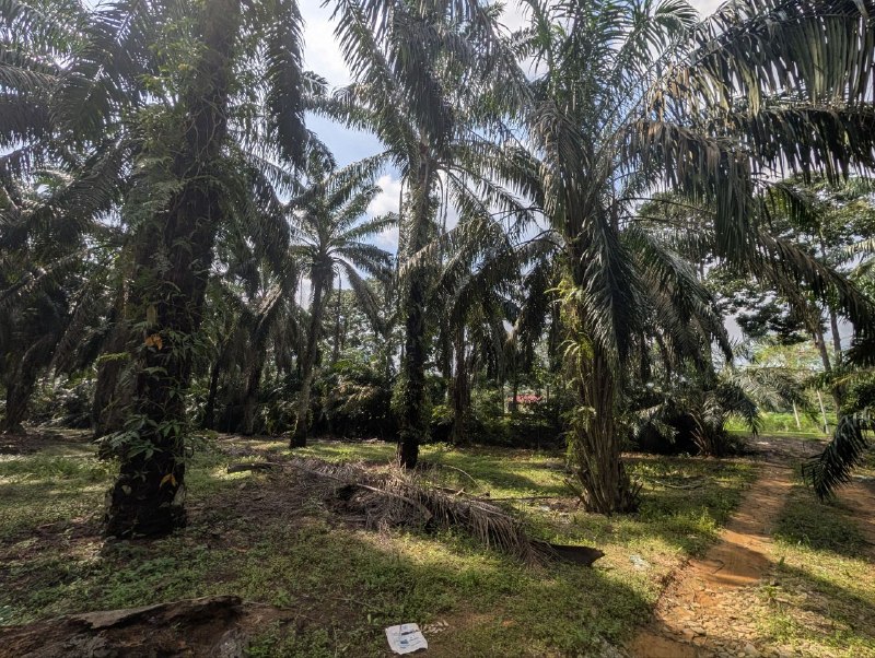 Air Bemban, Batu 29, Kulai — Industrial Land for Sale