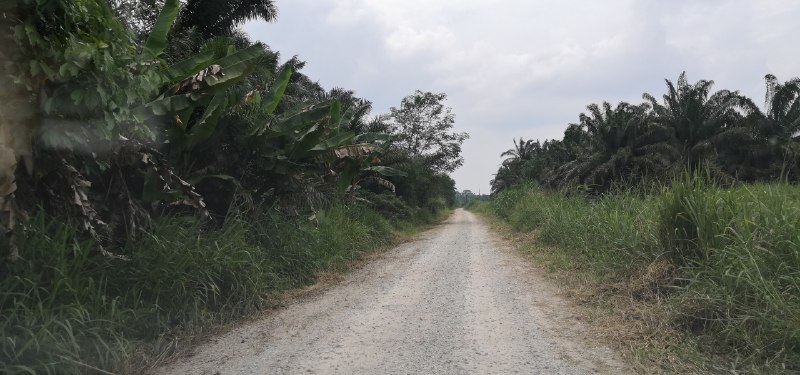 Jeram Batu, Pekan Nenas, Pontian. — Industrial land for Sale