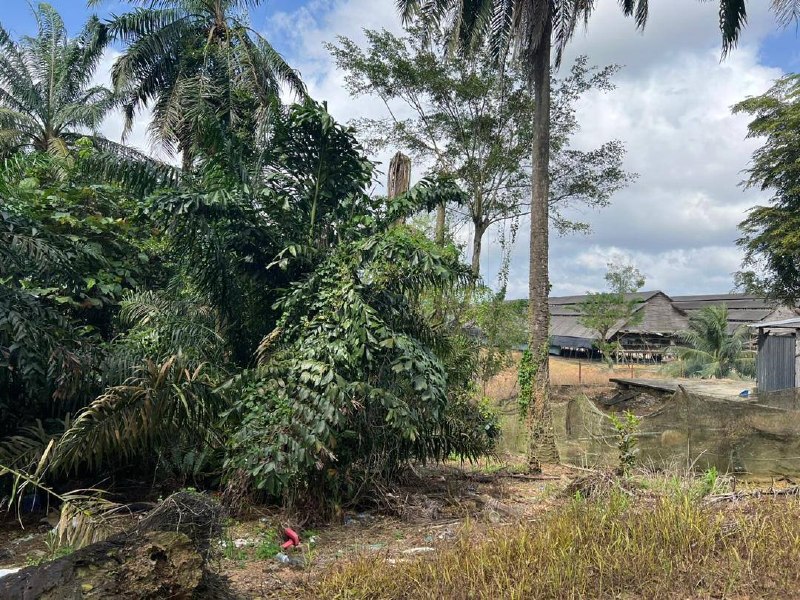 Saleng, Kulai — Agricultural land with industrial zoning for Sale — photo 4