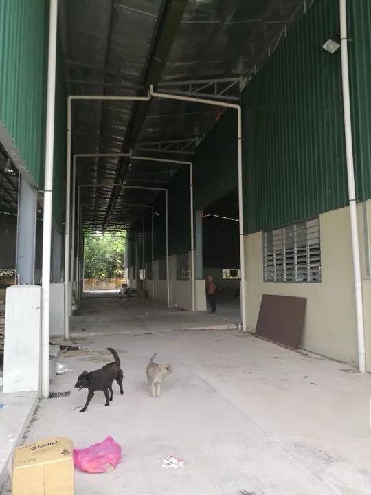 Ulu Tiram — 2 lot Link Bungalow Factory for Sale — photo 5